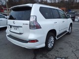 Used 2019 Lexus GX 460 Premium w/ Premium Package image 3