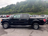 Used 2011 Ford F150 XLT w/ XLT Chrome Pkg image 2