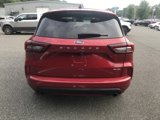 Used 2023 Ford Escape ST-Line w/ Tech Pack #1 image 2