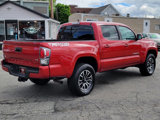 Used 2020 Toyota Tacoma TRD Sport image 6