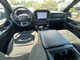 Certified 2023 Ford F150 XLT w/ Equipment Group 302A High image 2