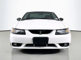 Used 2001 Ford Mustang Cobra image 2