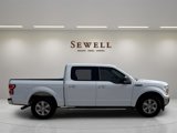 Used 2019 Ford F150 XLT w/ Equipment Group 302A Luxury image 6