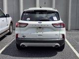 Used 2020 Ford Escape SE image 3