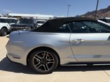 Used 2021 Ford Mustang Convertible w/ Equipment Group 101A image 5