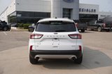 Used 2020 Ford Escape SE image 4