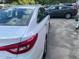Used 2015 Hyundai Sonata ECO w/ Option Group 08 image 6