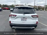 Used 2020 Ford Escape SE image 6