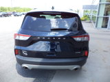 Used 2021 Ford Escape SEL image 5