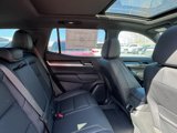 New 2025 GMC Terrain Elevation w/ Elevation Premium Package image 5