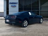 Used 2014 Ford Mustang Coupe w/ Equipment Group 102A image 6