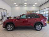 New 2025 Toyota RAV4 XLE w/ Convenience Package image 5