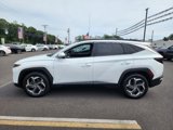 Used 2022 Hyundai Tucson Limited image 4