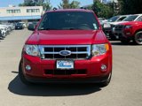 Used 2011 Ford Escape XLT image 2