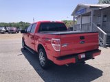 Used 2014 Ford F150 STX w/ Equipment Group 201A Mid image 4