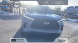 Certified 2025 INFINITI QX60 Luxe w/ Black Edition image 3