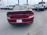 Used 2020 Dodge Charger SXT w/ Blacktop Package image 3