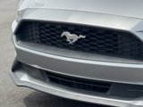 Used 2020 Ford Mustang Premium image 4