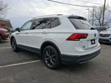 Used 2022 Volkswagen Tiguan SE w/ Panoramic Sunroof Package image 3