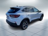 New 2025 Ford Escape ST-Line w/ Tech Pack #1 image 3