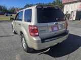 Used 2011 Ford Escape XLT w/ 203A Rapid Spec Order Code image 5