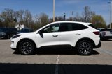 Used 2020 Ford Escape SE Sport image 5