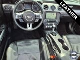 Used 2018 Ford Mustang Premium image 3