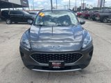 Used 2020 Ford Escape SE image 3