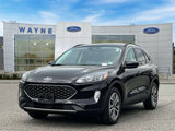 Certified 2022 Ford Escape SEL image 2
