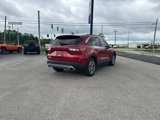 Used 2022 Ford Escape SEL w/ Technology Package image 6