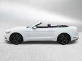 Used 2017 Ford Mustang Premium image 4