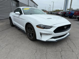 Certified 2021 Ford Mustang Premium image 2