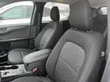 New 2025 Ford Escape Active image 4