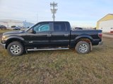 Used 2012 Ford F150 XLT w/ XLT Chrome Pkg image 2