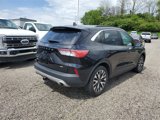 Used 2020 Ford Escape SEL image 4