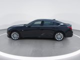 Certified 2023 Cadillac CT5 Luxury w/ Sun And Sound Package image 6