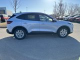 New 2025 Ford Escape Active w/ Cold Weather Package image 2