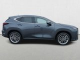 New 2025 Lexus NX 350 AWD w/ Accessory Package (2T) image 4