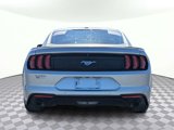 Used 2019 Ford Mustang Coupe w/ Equipment Group 101A image 4