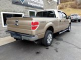 Used 2014 Ford F150 XLT w/ Equipment Group 302A Luxury image 3