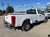 New 2024 Ford F350 XL w/ XL Chrome Package image 5