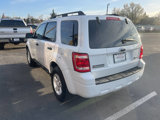 Used 2008 Ford Escape 2WD Hybrid image 5