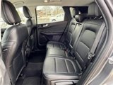 Used 2021 Ford Escape Titanium image 5