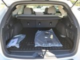 Used 2025 Subaru Outback Premium image 5