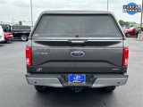 Used 2015 Ford F150 XLT w/ Equipment Group 302A Luxury image 4