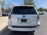 Certified 2023 Lexus GX 460 Premium image 4