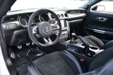 Used 2016 Ford Mustang Shelby GT350 w/ Technology Package image 4
