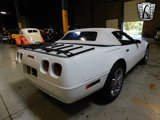 Used 1993 Chevrolet Corvette Convertible image 4