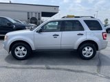 Used 2011 Ford Escape XLT w/ 201A Rapid Spec Order Code image 5