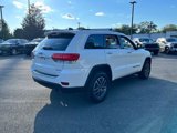 Used 2019 Jeep Grand Cherokee Limited w/ Luxury Group II image 6